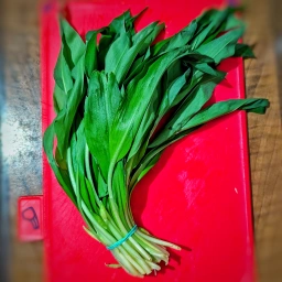 Ingredients: fresh wild garlic