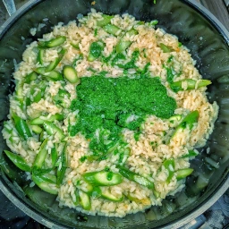 Risotto with wild garlic pesto