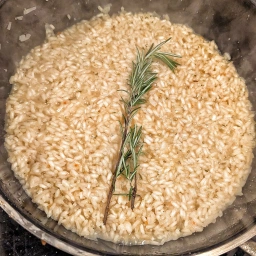 Risotto with two sprigs of rosmary