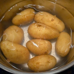 Ingredients: potatoes