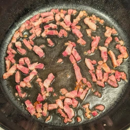 ingredients: fried bacon