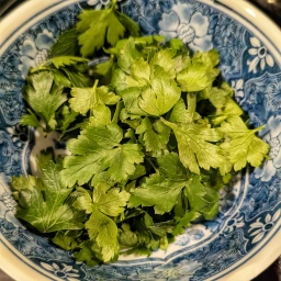 Ingredients: parsley leaves