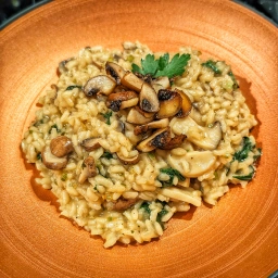Risotto with mushrooms