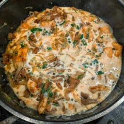 Chicken breast pieces with onions, garlic, chanterelles, cream, green pepper and parsley