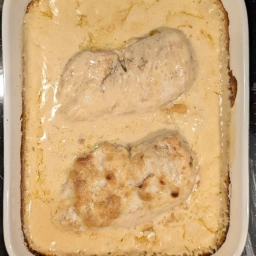 Chicken breasts with mustard sauce fresh from the oven