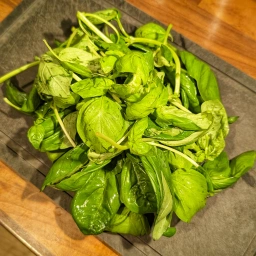 Ingredients: fresh basil