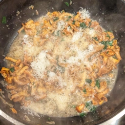 Sauce: onion, garlic, chanterelles, white wine, Grana Padano