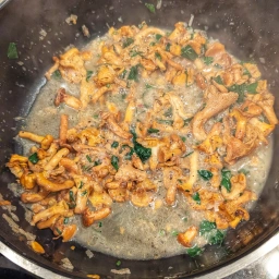Sauce: onion, garlic, chanterelles, white wine