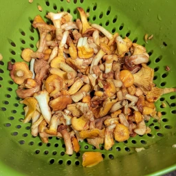 Ingredients: chanterelles