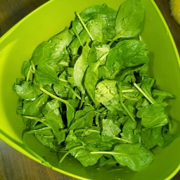 Ingredients: spinach
