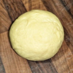Finished pasta dough