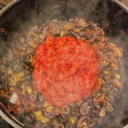 Aubergine ragout with tomatoes