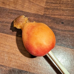 Removing the stones from the apricots